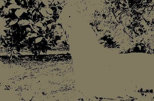 Gif of monochrome layers being applied one-by-one to create image of two chickens
