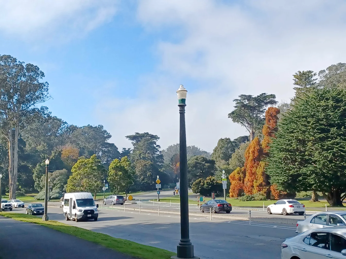 San Francisco road with trees in the background